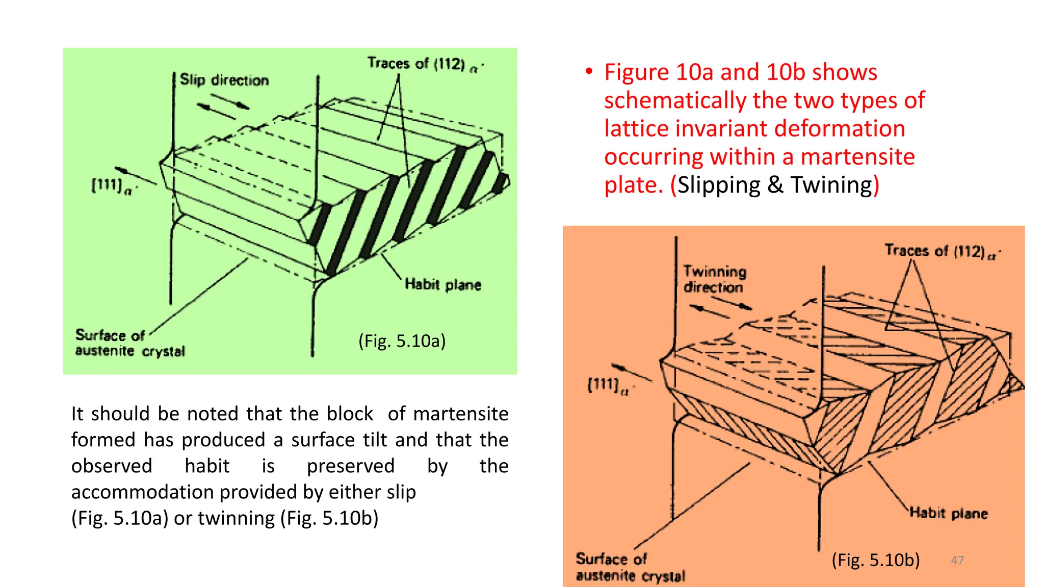 • Figure 10a and 10b shows
schematically the two types of
lattice invariant deformation
occurring within a martensite
plate. (Slipping & Twining)
47
It should be noted that the block of martensite
formed has produced a surface tilt and that the
observed habit is preserved by the
accommodation provided by either slip
(Fig. 5.10a) or twinning (Fig. 5.10b)
(Fig. 5.10a)
(Fig. 5.10b)
 