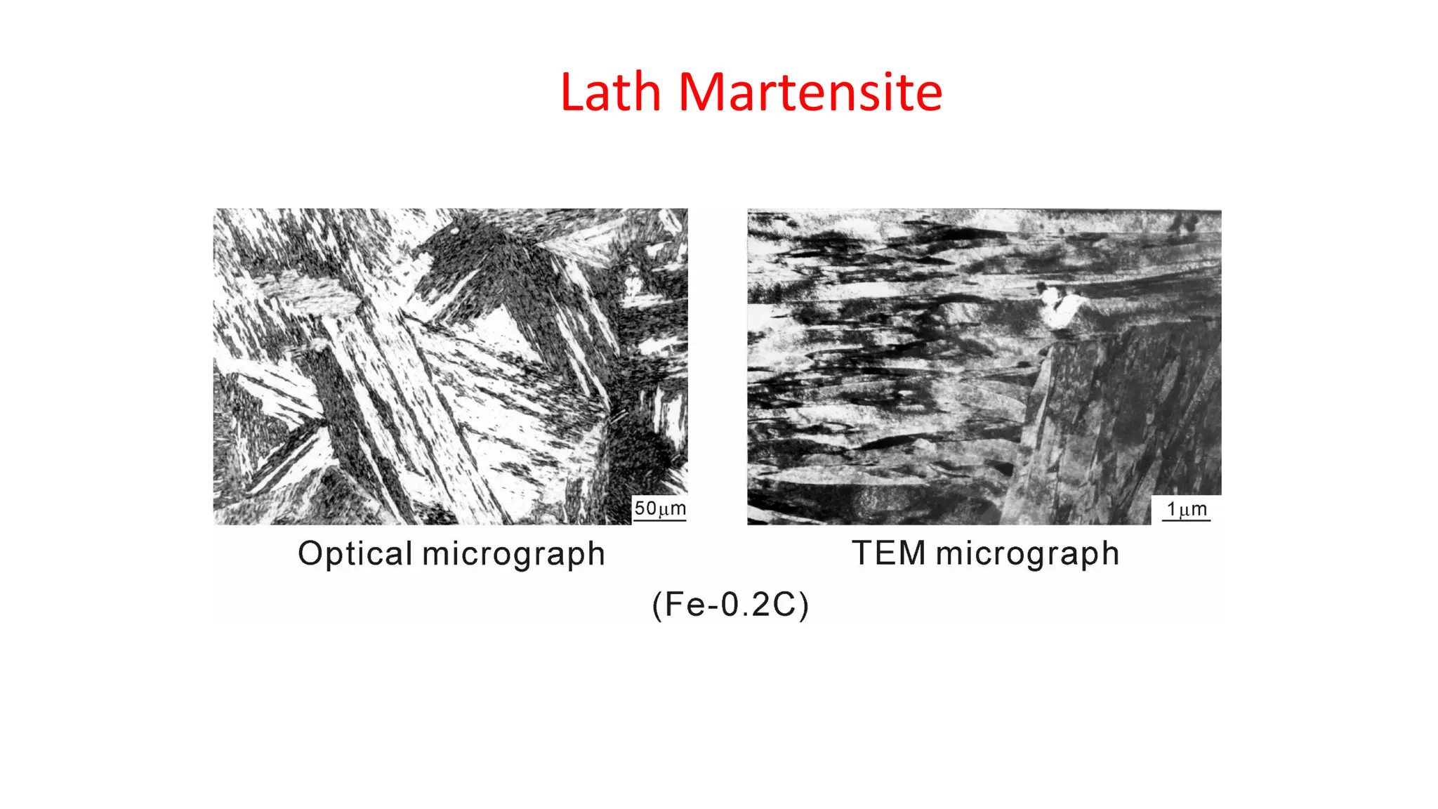 Lath Martensite
 