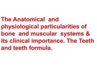 The Anatomical and
physiological particularities of
bone and muscular systems &
its clinical importance. The Teeth
and teeth formula.
 