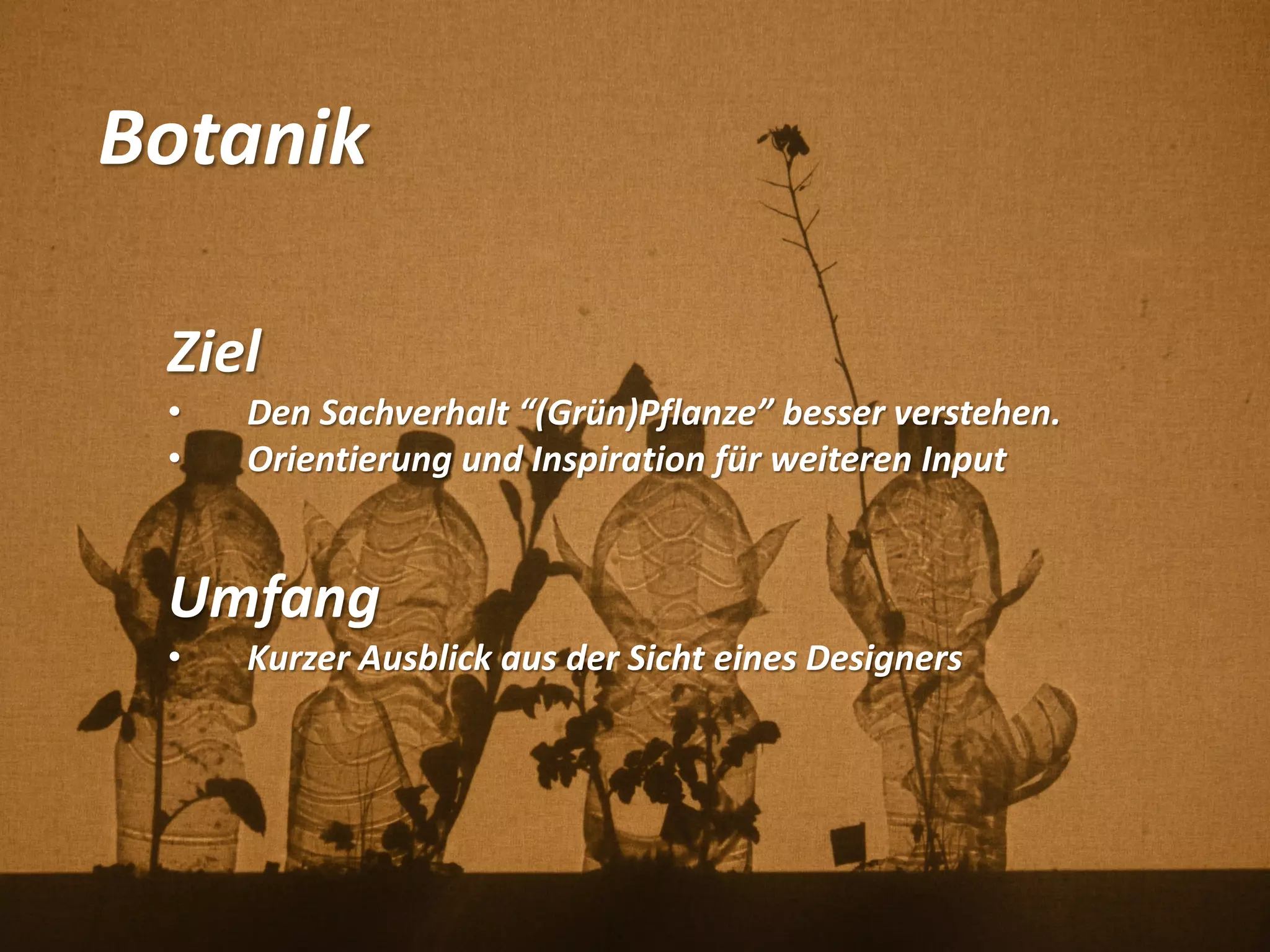 Botanik
Ziel
• Den Sachverhalt “(Grün)Pflanze” besser verstehen.
• Orientierung und Inspiration für weiteren Input
Umfang
• Kurzer Ausblick aus der Sicht eines Designers
 