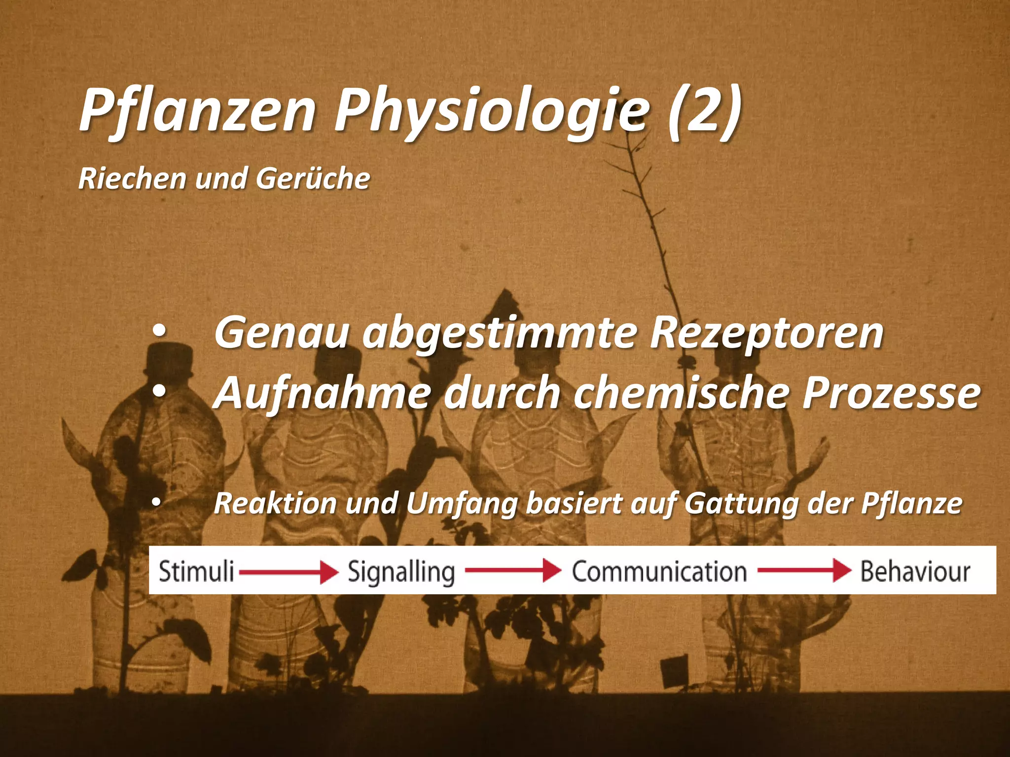 Pflanzen Physiologie (2)
Riechen und Gerüche
• Genau abgestimmte Rezeptoren
• Aufnahme durch chemische Prozesse
• Reaktion und Umfang basiert auf Gattung der Pflanze
 
