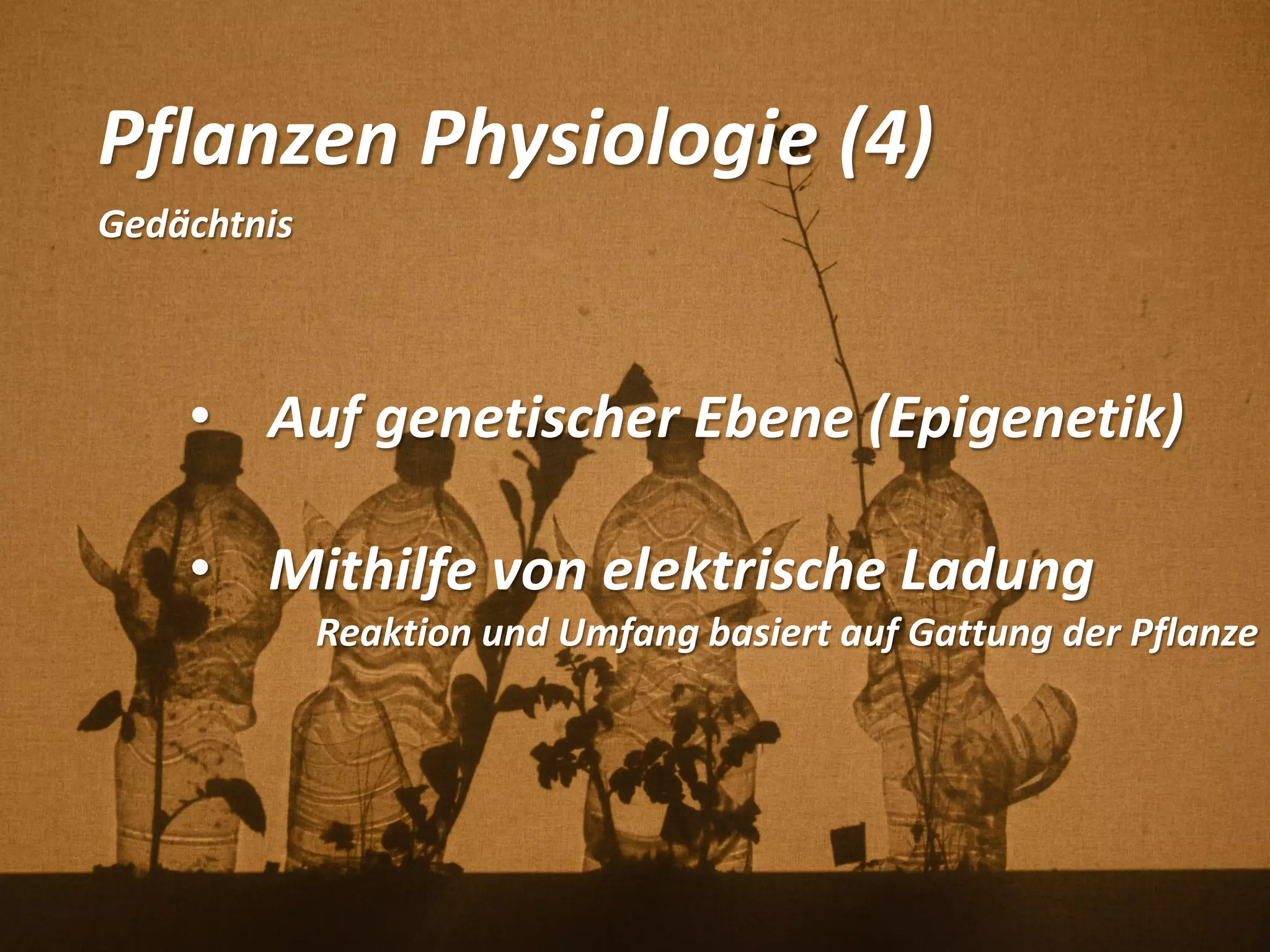 Pflanzen Physiologie (4)
Gedächtnis
• Auf genetischer Ebene (Epigenetik)
• Mithilfe von elektrische Ladung
Reaktion und Umfang basiert auf Gattung der Pflanze
 