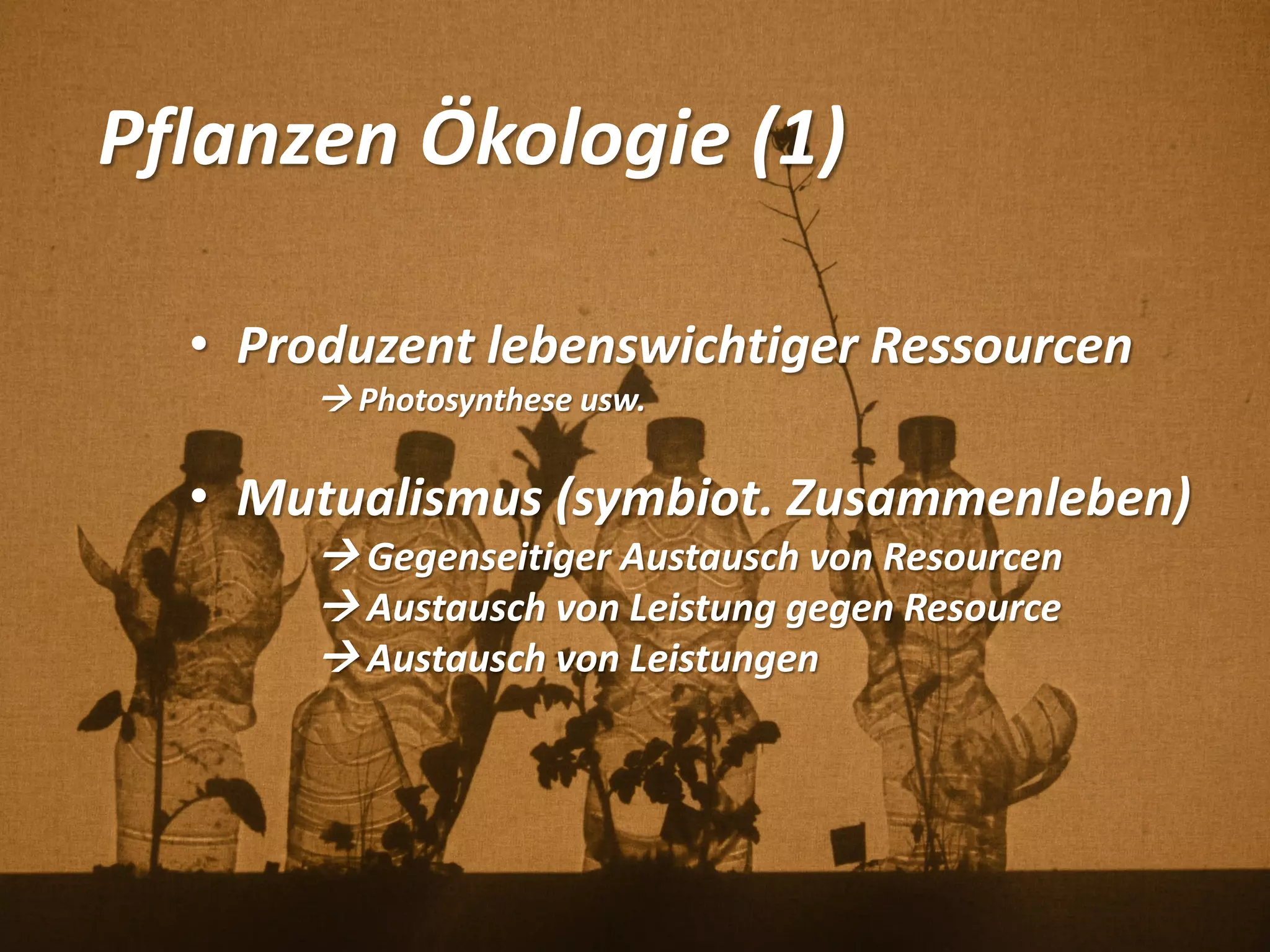 Pflanzen Ökologie (1)
• Produzent lebenswichtiger Ressourcen
 Photosynthese usw.
• Mutualismus (symbiot. Zusammenleben)
 Gegenseitiger Austausch von Resourcen
 Austausch von Leistung gegen Resource
 Austausch von Leistungen
 
