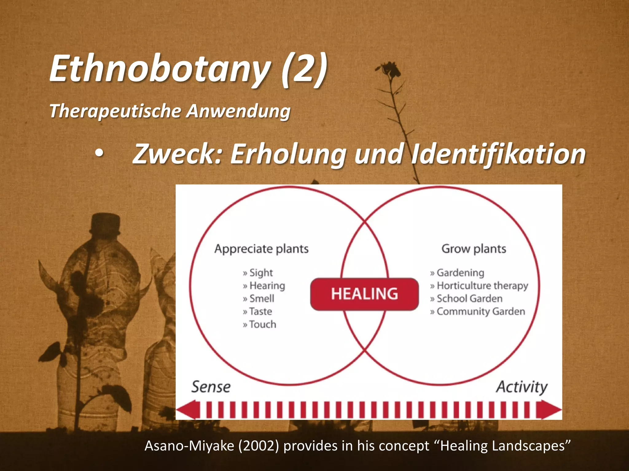 Ethnobotany (2)
Therapeutische Anwendung
• Zweck: Erholung und Identifikation
Asano-Miyake (2002) provides in his concept “Healing Landscapes”
 