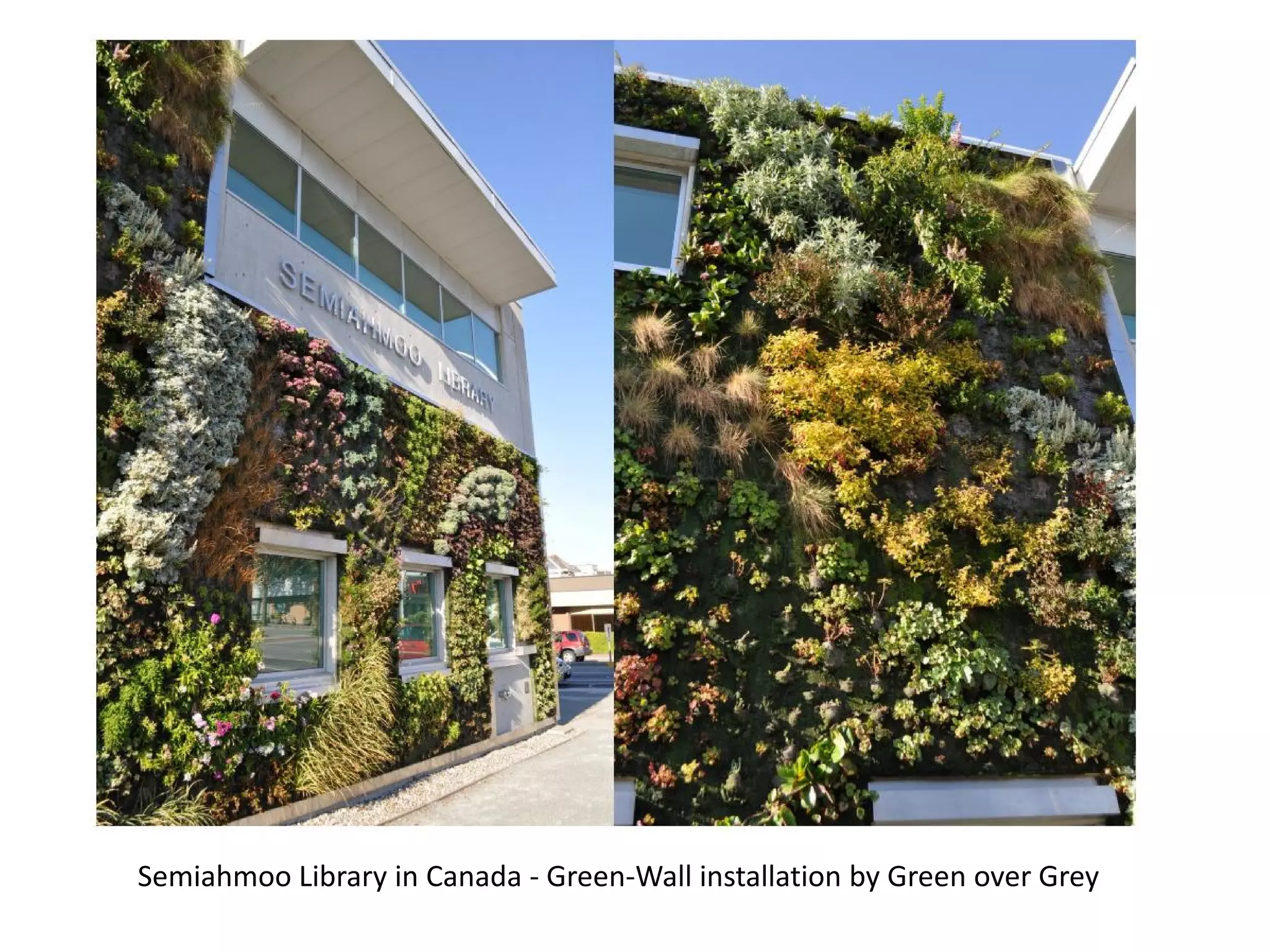Semiahmoo Library in Canada - Green-Wall installation by Green over Grey
 