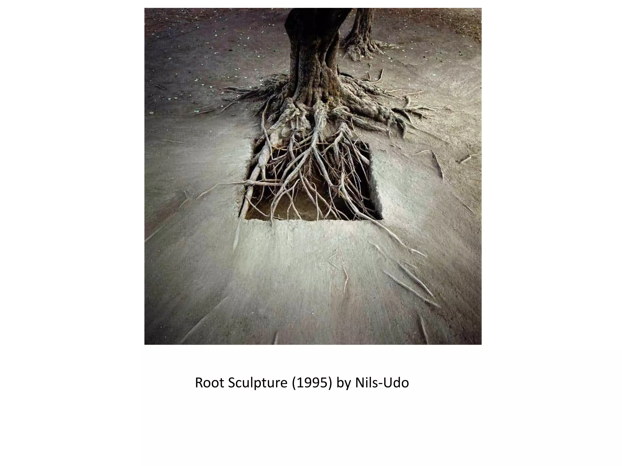 Root Sculpture (1995) by Nils-Udo
 