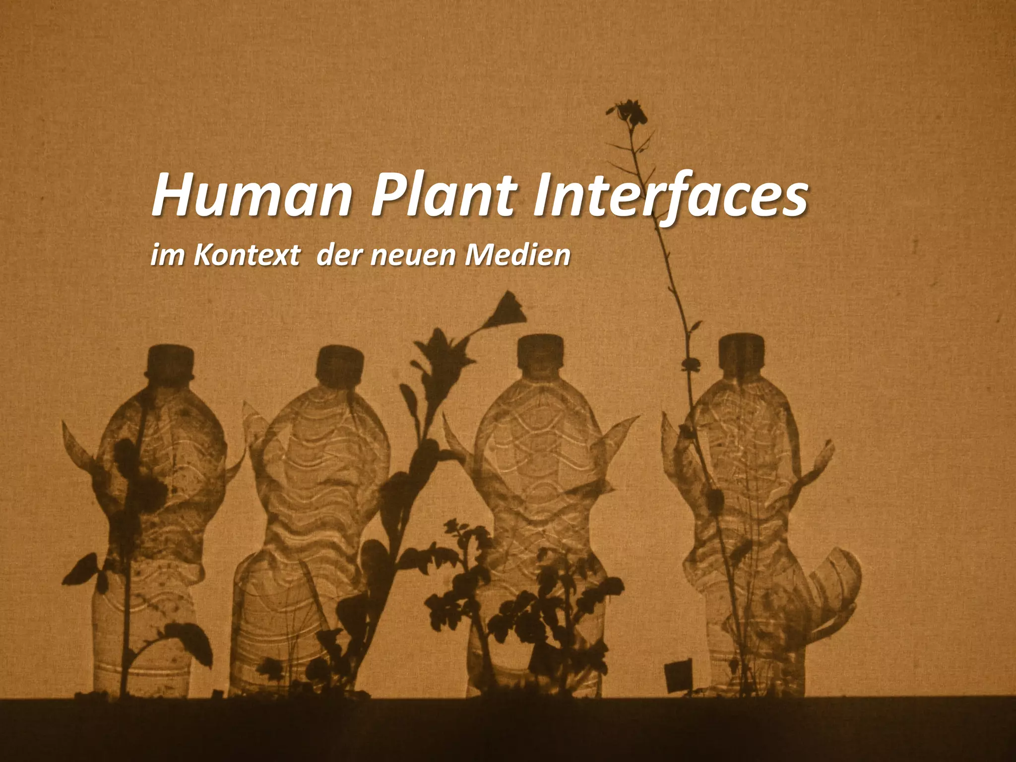 Human Plant Interfaces
im Kontext der neuen Medien
 