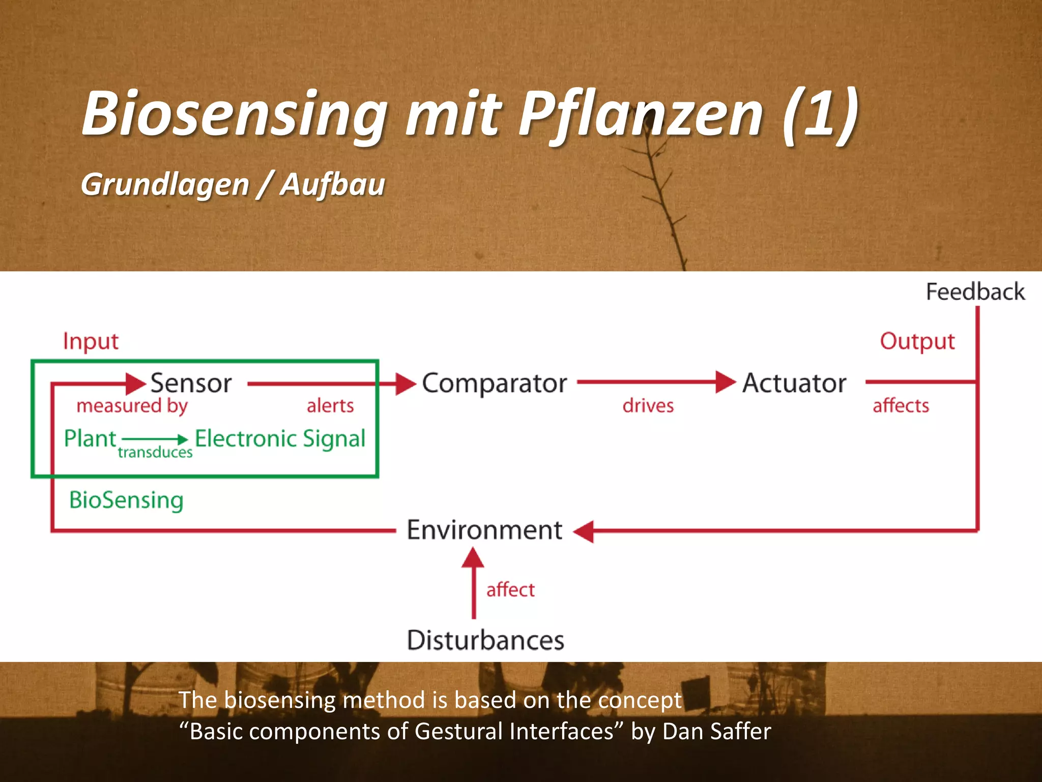 Biosensing mit Pflanzen (1)
Grundlagen / Aufbau
The biosensing method is based on the concept
“Basic components of Gestural Interfaces” by Dan Saffer
 
