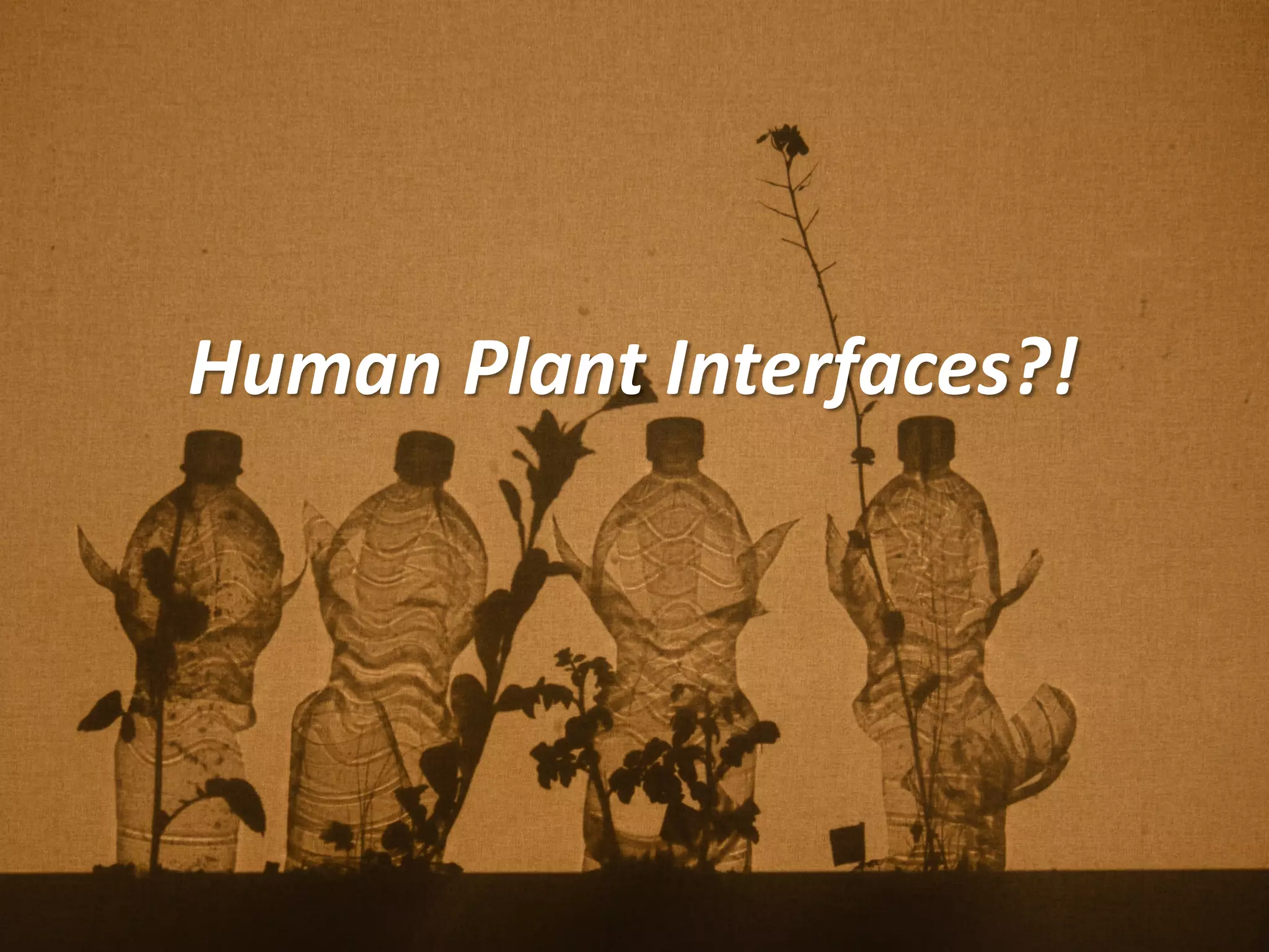 Human Plant Interfaces?!
 
