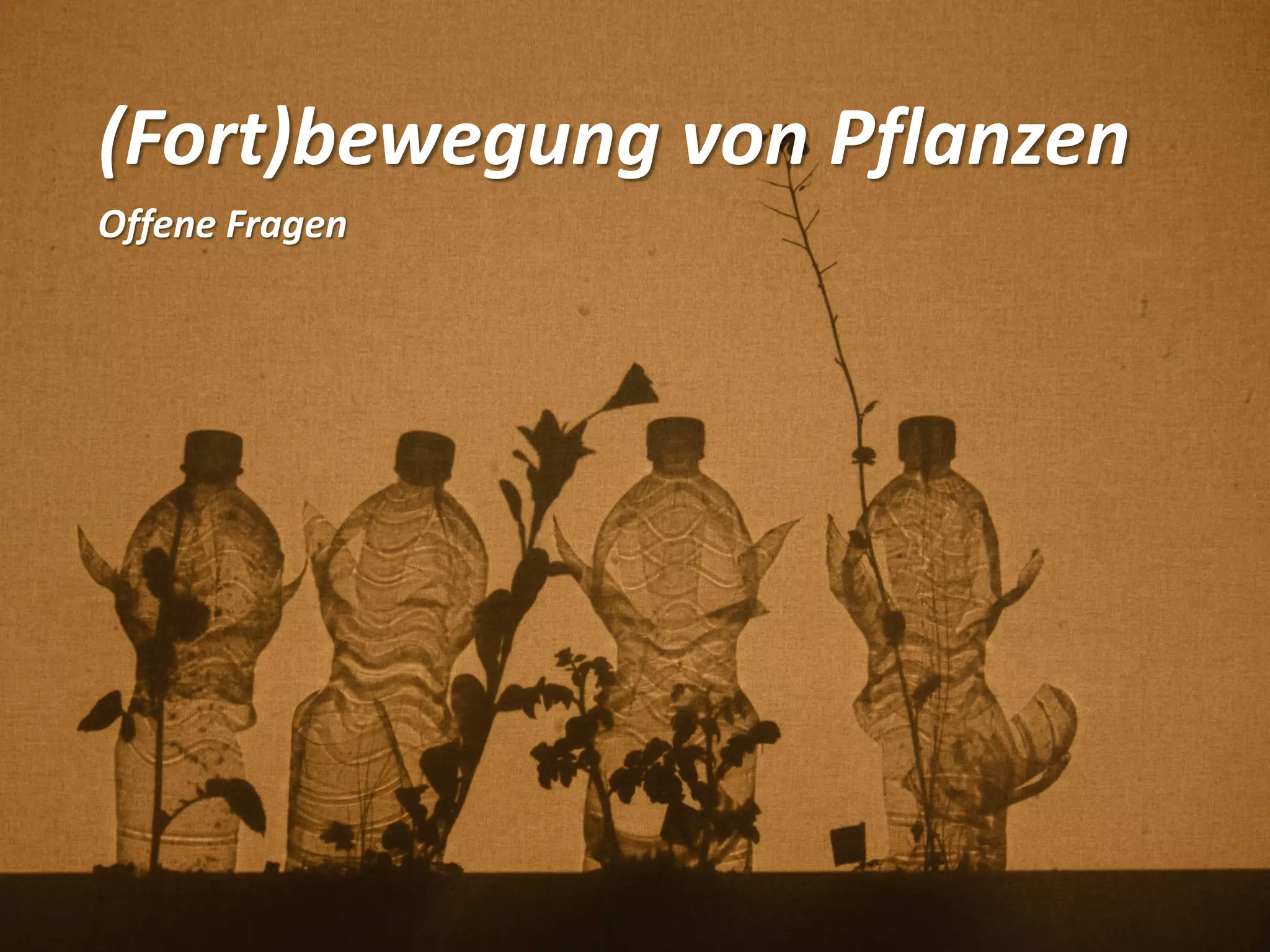 (Fort)bewegung von Pflanzen
Offene Fragen
 