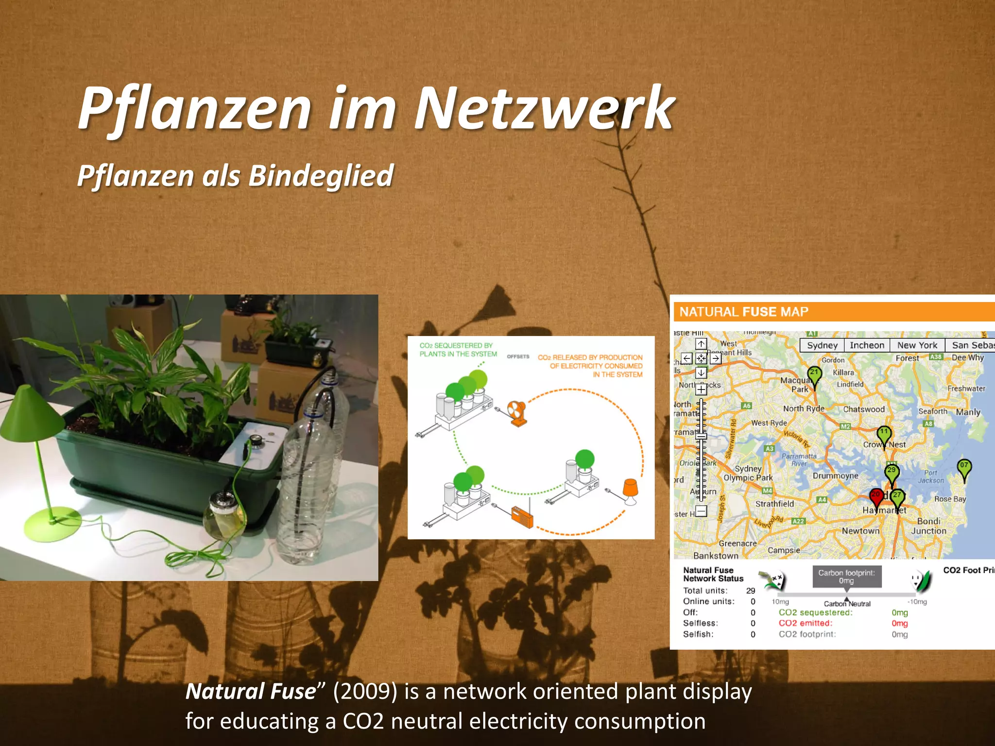 Pflanzen im Netzwerk
Pflanzen als Bindeglied
Natural Fuse” (2009) is a network oriented plant display
for educating a CO2 neutral electricity consumption
 