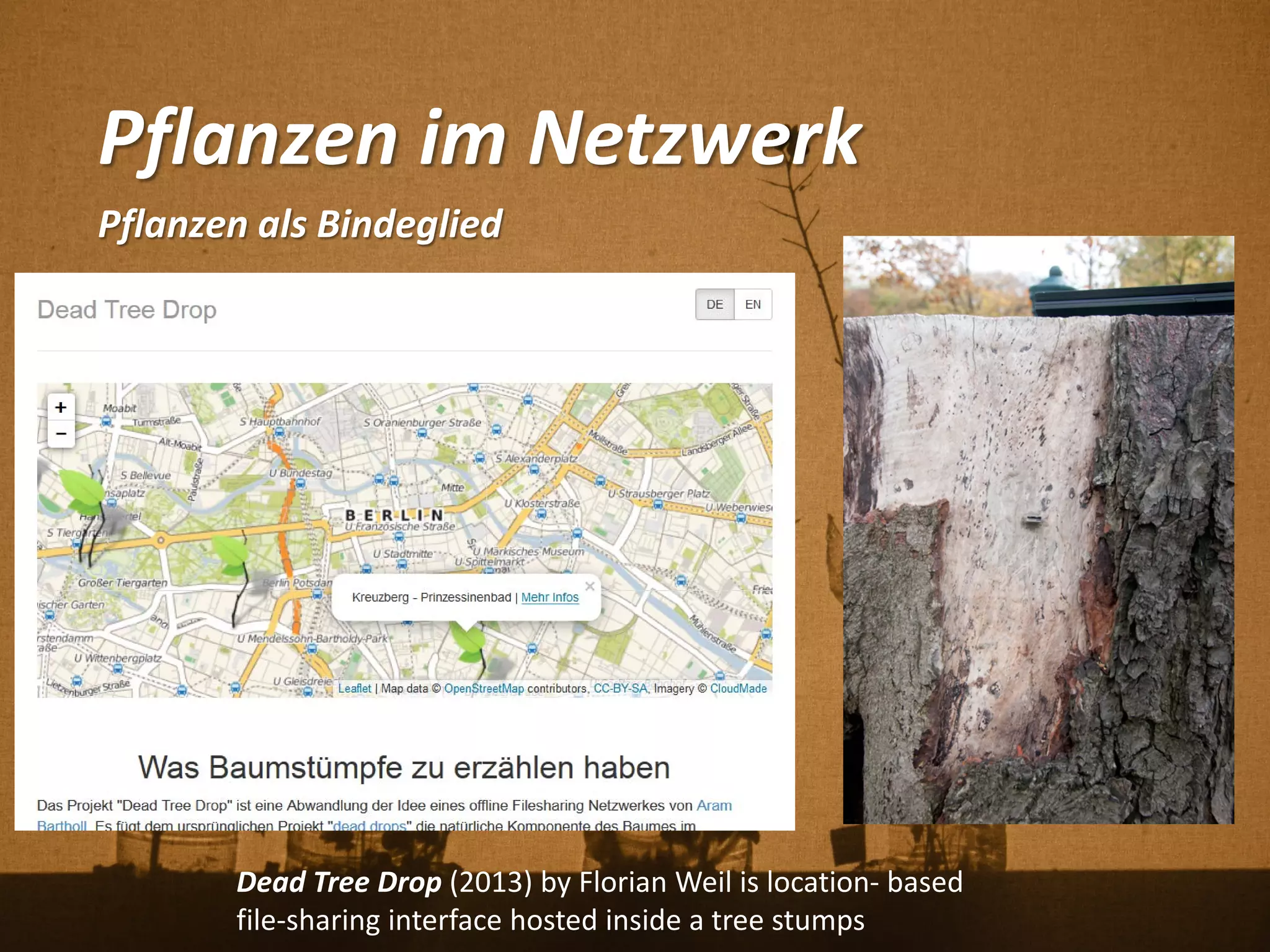 Pflanzen im Netzwerk
Pflanzen als Bindeglied
Dead Tree Drop (2013) by Florian Weil is location- based
file-sharing interface hosted inside a tree stumps
 