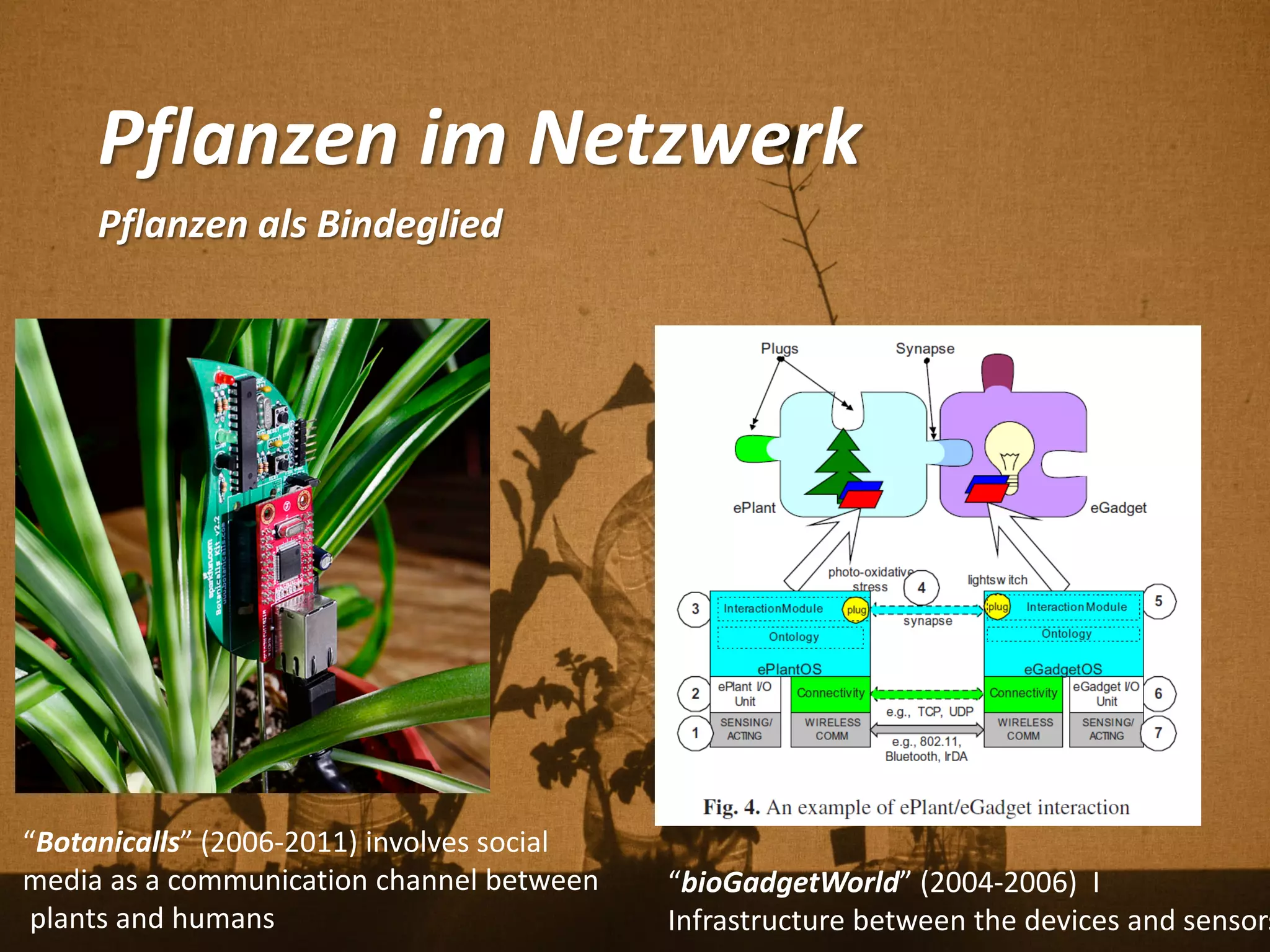 Pflanzen im Netzwerk
Pflanzen als Bindeglied
“Botanicalls” (2006-2011) involves social
media as a communication channel between
plants and humans
“bioGadgetWorld” (2004-2006) I
Infrastructure between the devices and sensors
 