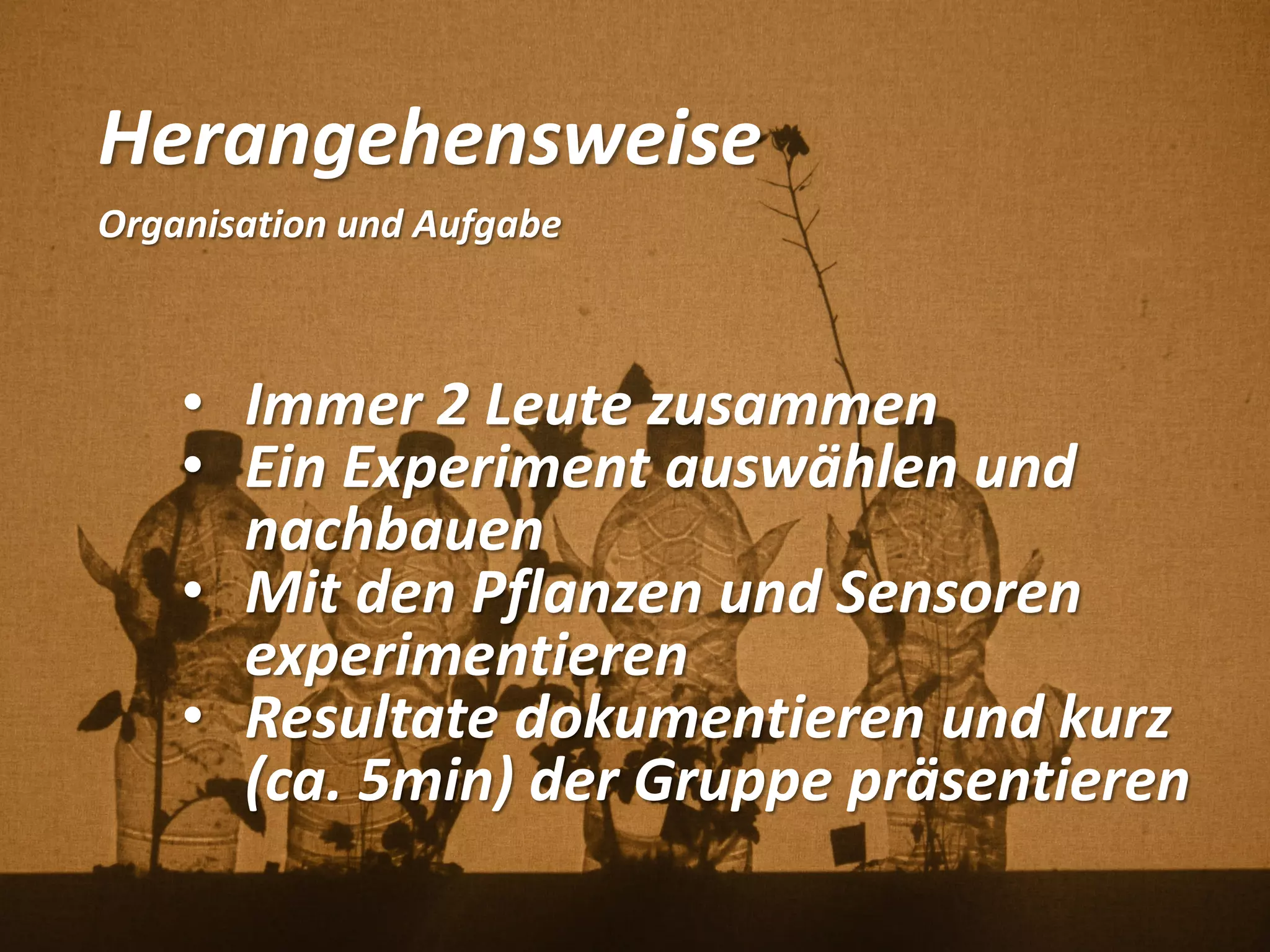 Herangehensweise
Organisation und Aufgabe
• Immer 2 Leute zusammen
• Ein Experiment auswählen und
nachbauen
• Mit den Pflanzen und Sensoren
experimentieren
• Resultate dokumentieren und kurz
(ca. 5min) der Gruppe präsentieren
 