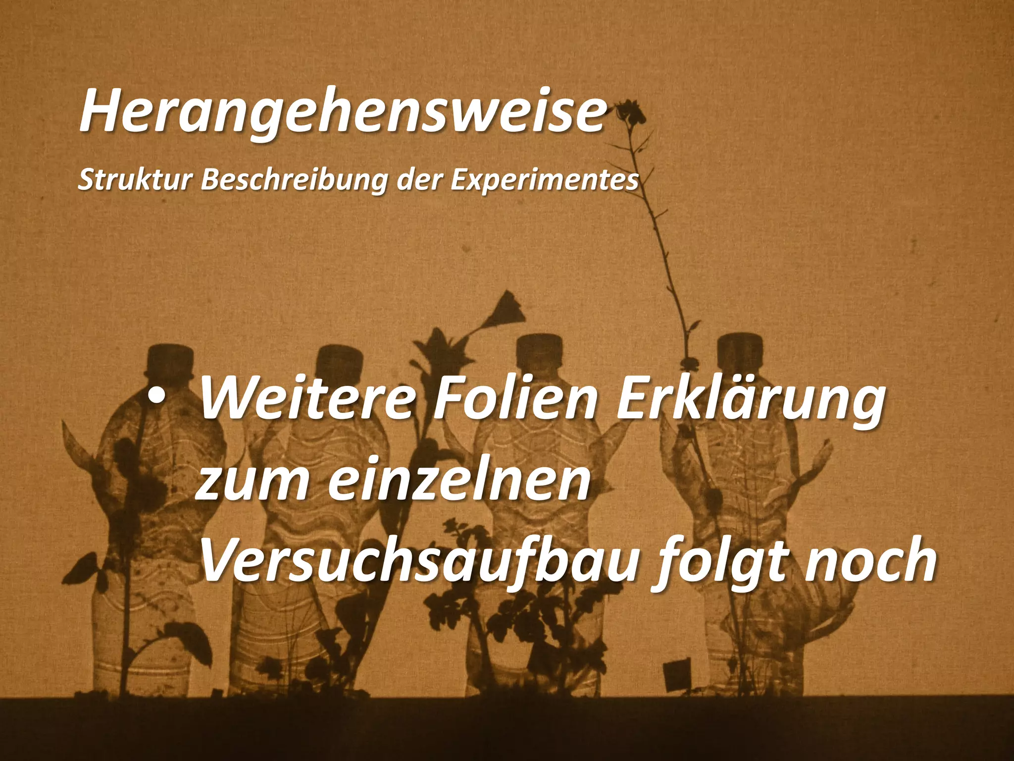 Herangehensweise
Struktur Beschreibung der Experimentes
• Weitere Folien Erklärung
zum einzelnen
Versuchsaufbau folgt noch
 