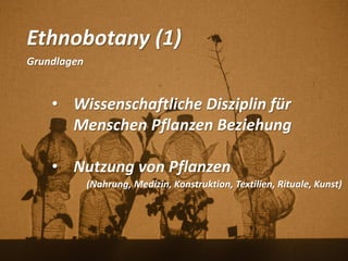 Ethnobotany (1)
Grundlagen
• Wissenschaftliche Disziplin für
Menschen Pflanzen Beziehung
• Nutzung von Pflanzen
(Nahrung, Medizin, Konstruktion, Textilien, Rituale, Kunst)
 