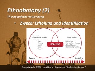 Ethnobotany (2)
Therapeutische Anwendung
• Zweck: Erholung und Identifikation
Asano-Miyake (2002) provides in his concept “Healing Landscapes”
 