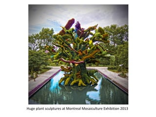 Huge plant sculptures at Montreal Mosaiculture Exhibition 2013
 