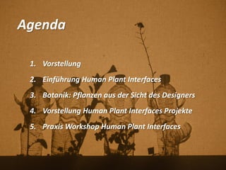 Agenda
1. Vorstellung
2. Einführung Human Plant Interfaces
3. Botanik: Pflanzen aus der Sicht des Designers
4. Vorstellung Human Plant Interfaces Projekte
5. Praxis Workshop Human Plant Interfaces
 