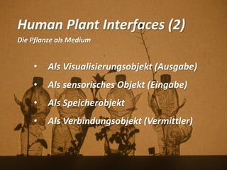 Human Plant Interfaces (2)
Die Pflanze als Medium
• Als Visualisierungsobjekt (Ausgabe)
• Als sensorisches Objekt (Eingabe)
• Als Speicherobjekt
• Als Verbindungsobjekt (Vermittler)
 