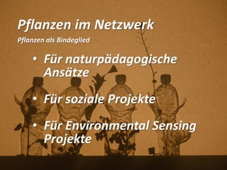 Pflanzen im Netzwerk
Pflanzen als Bindeglied
• Für naturpädagogische
Ansätze
• Für soziale Projekte
• Für Environmental Sensing
Projekte
 