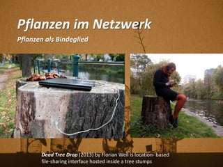 Pflanzen im Netzwerk
Pflanzen als Bindeglied
Dead Tree Drop (2013) by Florian Weil is location- based
file-sharing interface hosted inside a tree stumps
 