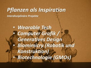 Pflanzen als Inspiration
Interdisziplinäre Projekte
• Wearable Tech
• Computer Grafik /
Generatives Design
• Biomimicry (Robotik und
Konstruktion)
• Biotechnologie (GMOs)
 
