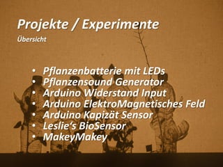 Projekte / Experimente
Übersicht
• Pflanzenbatterie mit LEDs
• Pflanzensound Generator
• Arduino Widerstand Input
• Arduino ElektroMagnetisches Feld
• Arduino Kapizät Sensor
• Leslie‘s BioSensor
• MakeyMakey
 