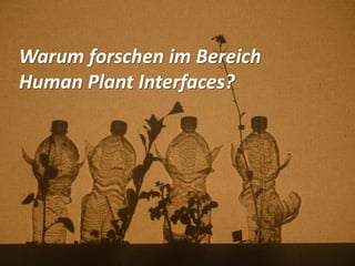 Warum forschen im Bereich
Human Plant Interfaces?
 