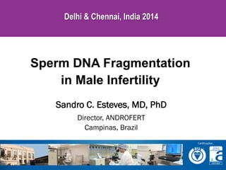 Delhi & Chennai, India 2014

Sperm DNA Fragmentation
in Male Infertility
Sandro C. Esteves, MD, PhD
Director, ANDROFERT
Campinas, Brazil

 