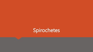 Spirochetes
 