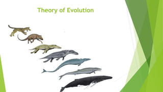 Theory of Evolution
 