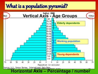 Demography And Population of Pakistan | PPT