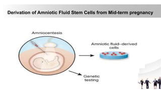 Derivation of Amniotic Fluid Stem Cells from Mid-term pregnancy
 