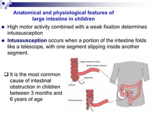 Lecture The digestive system.pdf