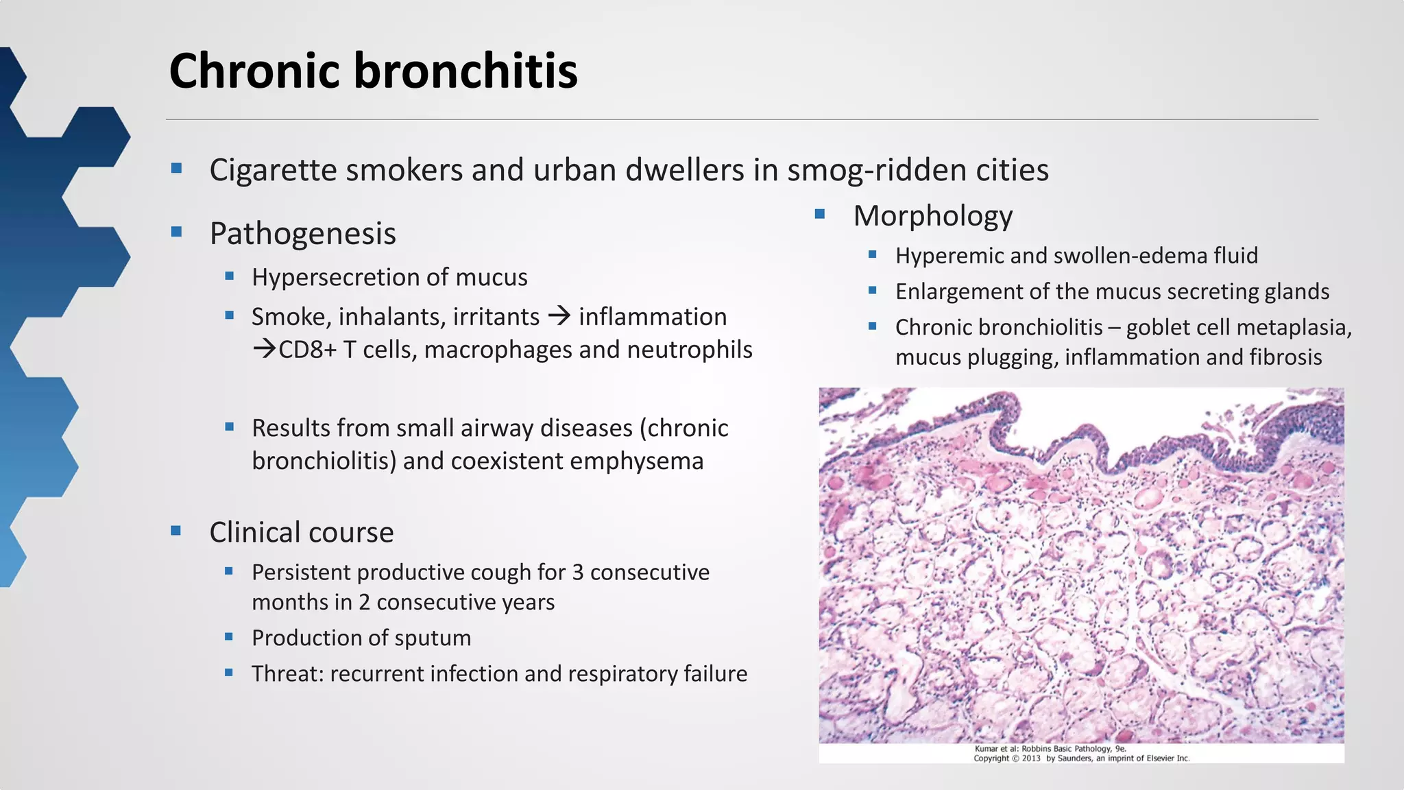 15
Chronic bronchitis
 Cigarette smokers and urban dwellers in smog-ridden cities
 Pathogenesis
 Hypersecretion of mucus
 Smoke, inhalants, irritants  inflammation
CD8+ T cells, macrophages and neutrophils
 Results from small airway diseases (chronic
bronchiolitis) and coexistent emphysema
 Clinical course
 Persistent productive cough for 3 consecutive
months in 2 consecutive years
 Production of sputum
 Threat: recurrent infection and respiratory failure
 Morphology
 Hyperemic and swollen-edema fluid
 Enlargement of the mucus secreting glands
 Chronic bronchiolitis – goblet cell metaplasia,
mucus plugging, inflammation and fibrosis
 