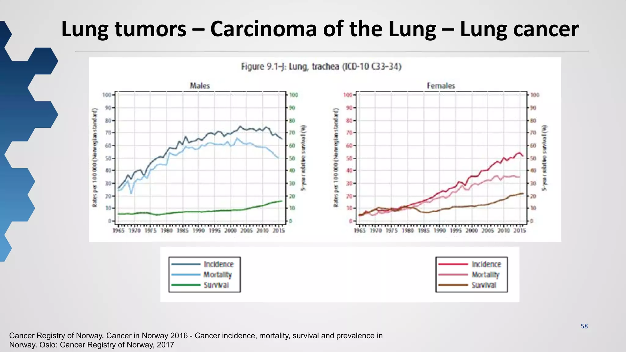 58
Lung tumors – Carcinoma of the Lung – Lung cancer
Cancer Registry of Norway. Cancer in Norway 2016 - Cancer incidence, mortality, survival and prevalence in
Norway. Oslo: Cancer Registry of Norway, 2017
 