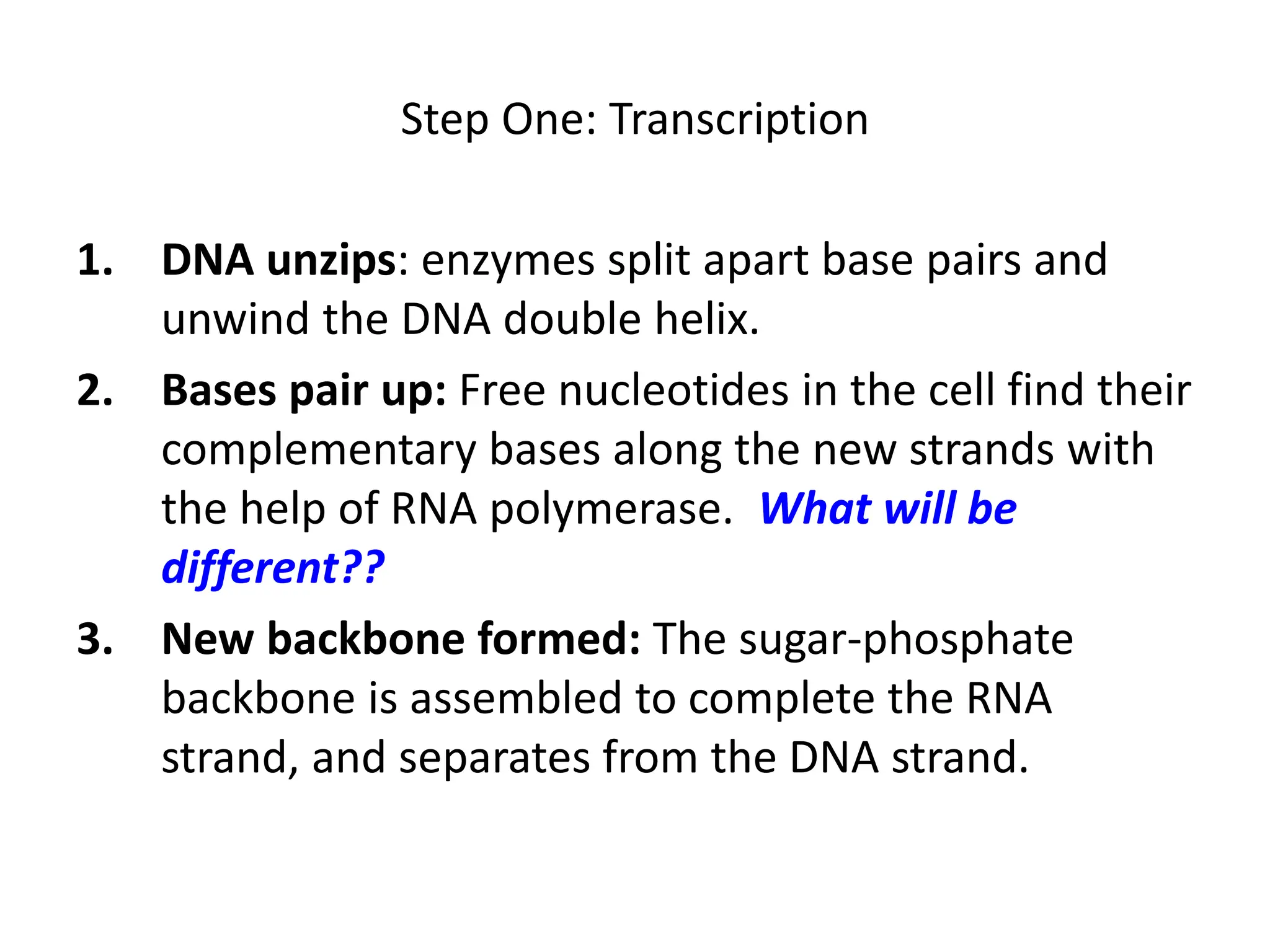 Step One: Transcription
1. DNA unzips: enzymes split apart base pairs and
unwind the DNA double helix.
2. Bases pair up: Free nucleotides in the cell find their
complementary bases along the new strands with
the help of RNA polymerase. What will be
different??
3. New backbone formed: The sugar-phosphate
backbone is assembled to complete the RNA
strand, and separates from the DNA strand.
 