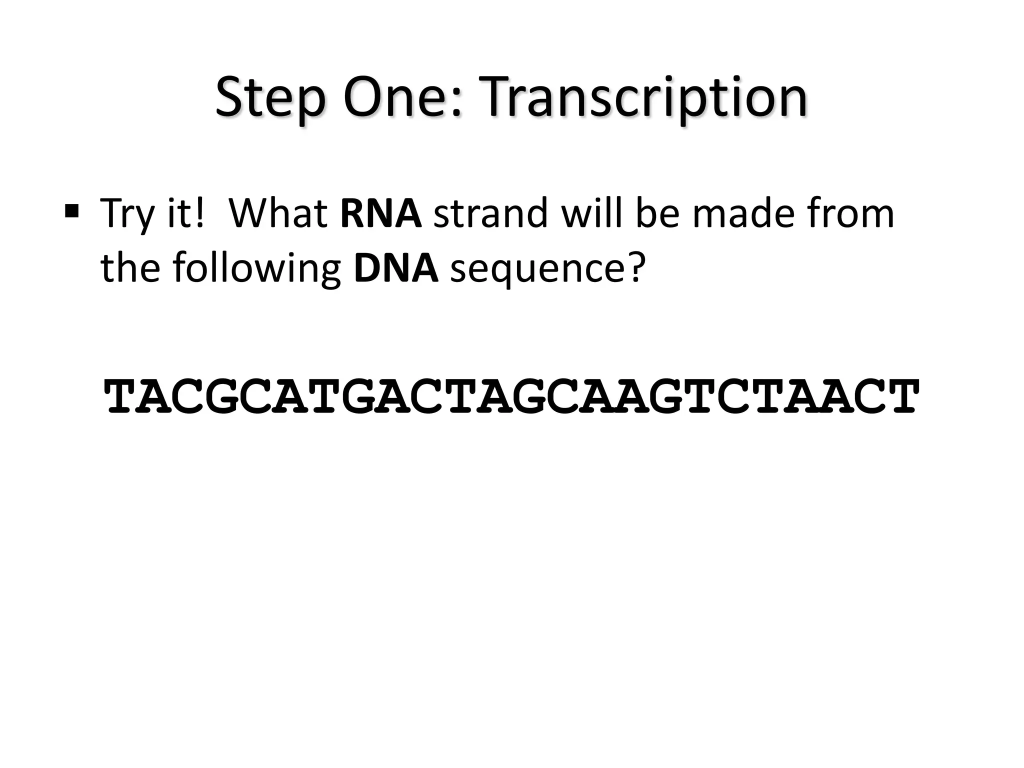 Step One: Transcription
 Try it! What RNA strand will be made from
the following DNA sequence?
TACGCATGACTAGCAAGTCTAACT
 
