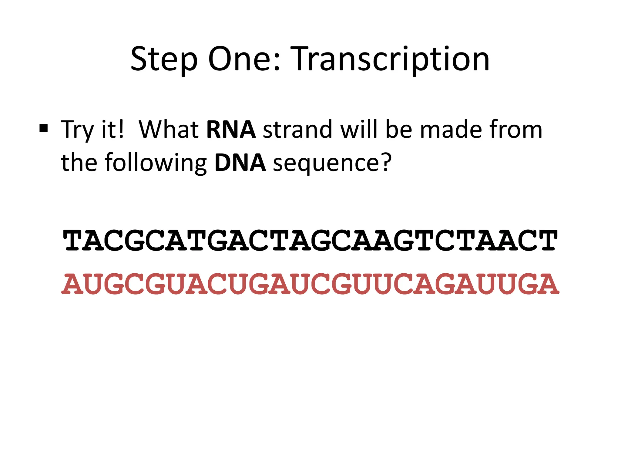Step One: Transcription
 Try it! What RNA strand will be made from
the following DNA sequence?
TACGCATGACTAGCAAGTCTAACT
AUGCGUACUGAUCGUUCAGAUUGA
 