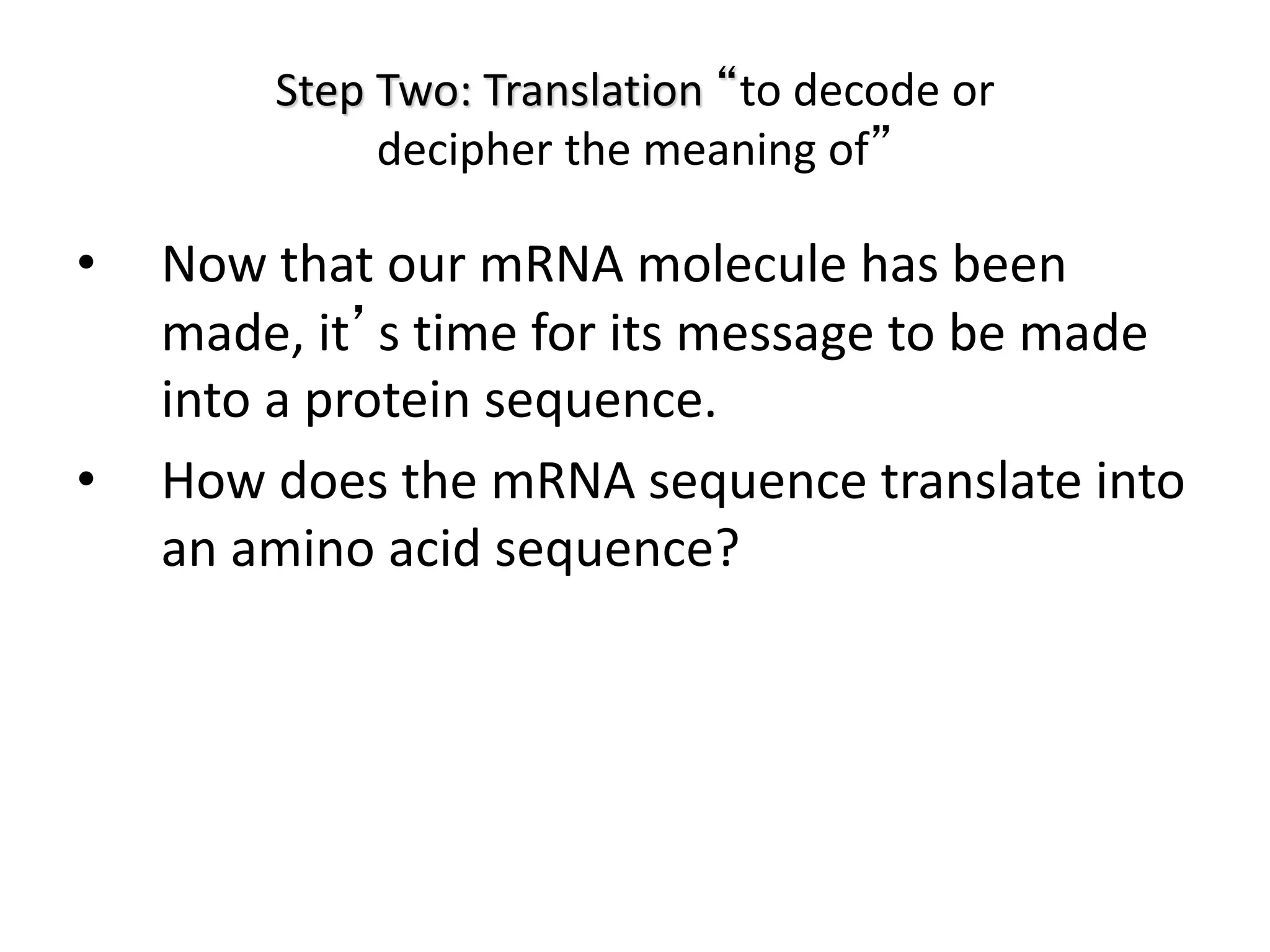 Step Two: Translation “to decode or
decipher the meaning of”
• Now that our mRNA molecule has been
made, it’s time for its message to be made
into a protein sequence.
• How does the mRNA sequence translate into
an amino acid sequence?
 