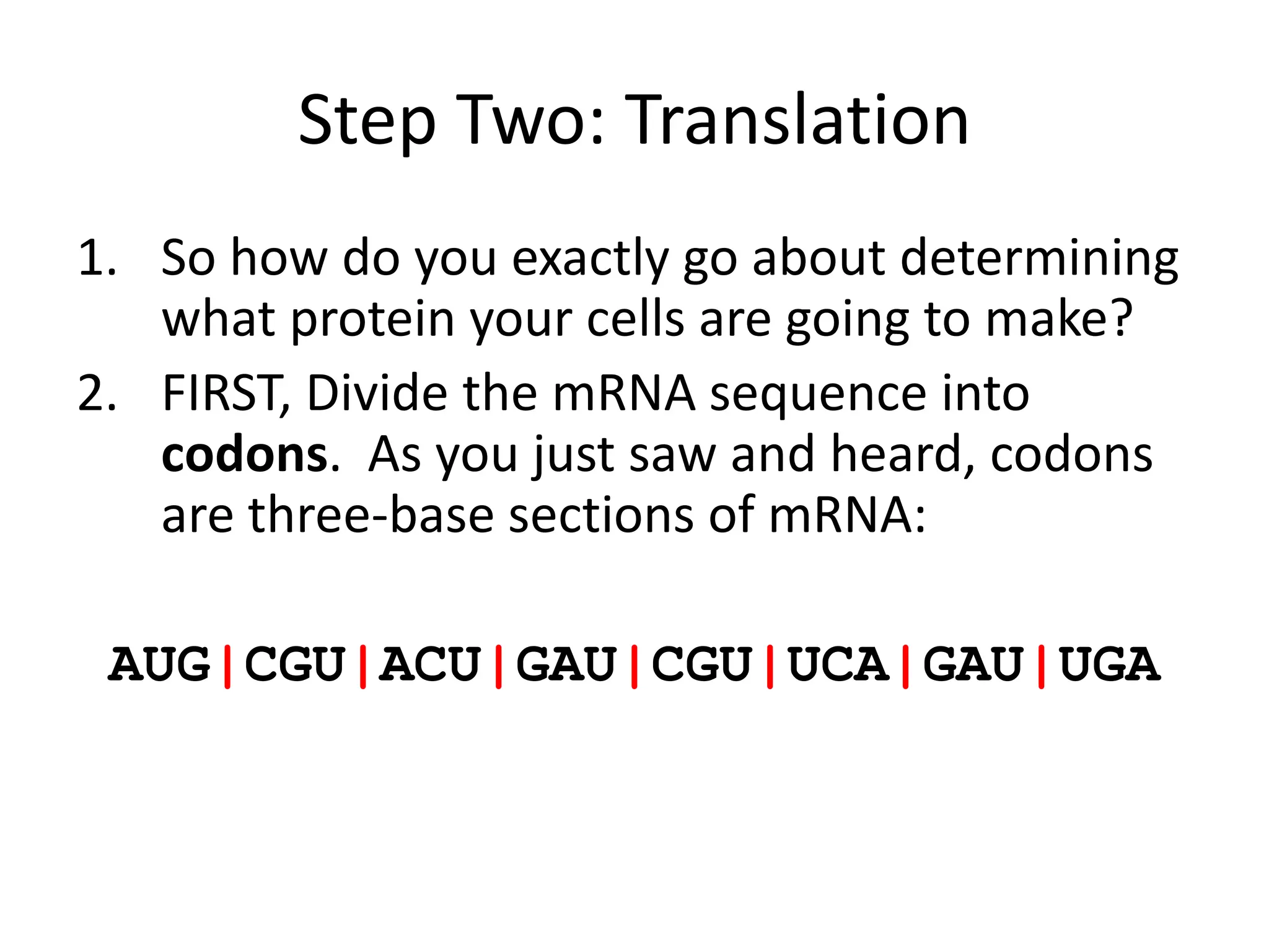 Step Two: Translation
1. So how do you exactly go about determining
what protein your cells are going to make?
2. FIRST, Divide the mRNA sequence into
codons. As you just saw and heard, codons
are three-base sections of mRNA:
AUG|CGU|ACU|GAU|CGU|UCA|GAU|UGA
 