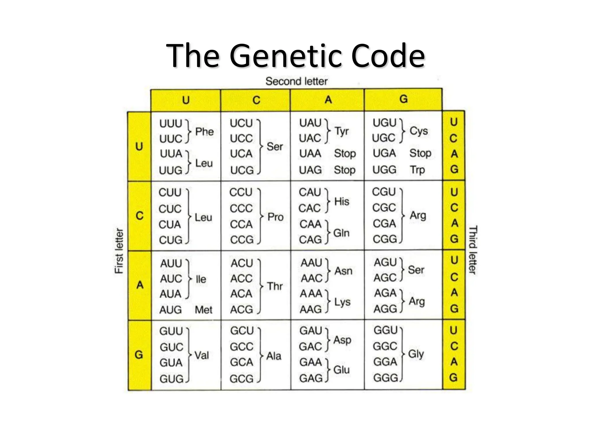 The Genetic Code
 