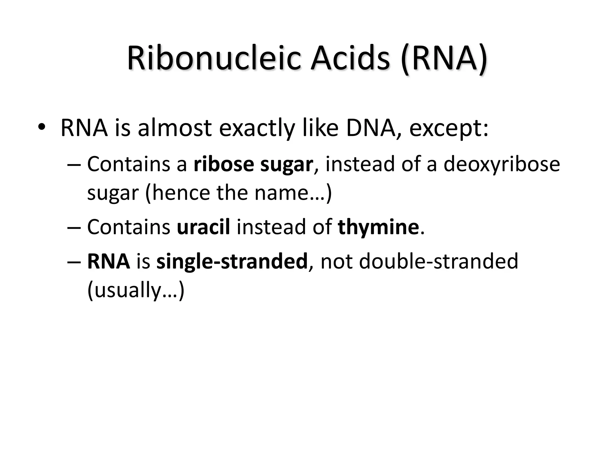 Ribonucleic Acids (RNA)
• RNA is almost exactly like DNA, except:
– Contains a ribose sugar, instead of a deoxyribose
sugar (hence the name…)
– Contains uracil instead of thymine.
– RNA is single-stranded, not double-stranded
(usually…)
 