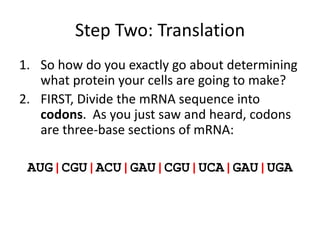 Translation Base Images lecture_transcription and translation.pdf