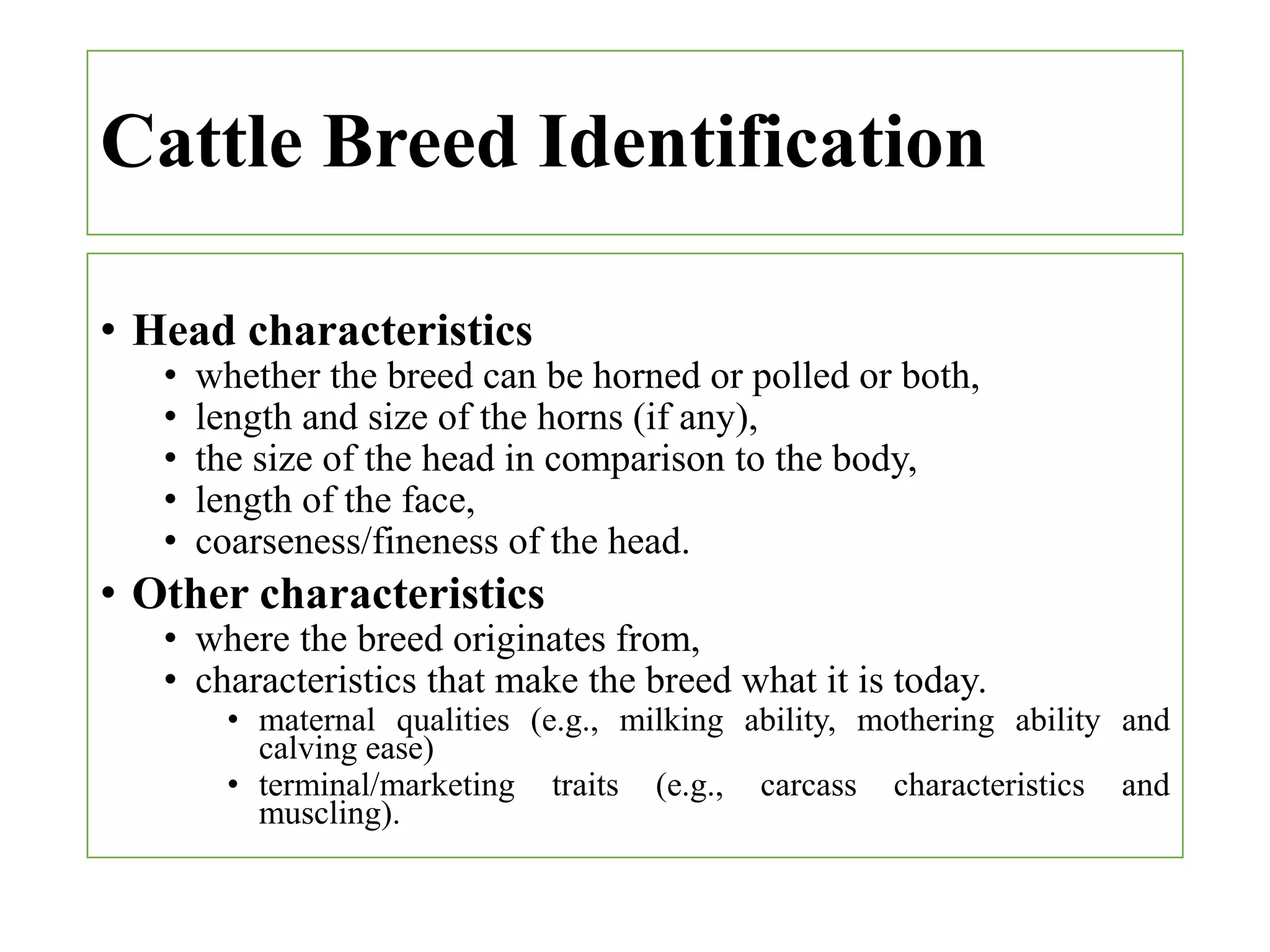 Lecture two beef production | PPTX