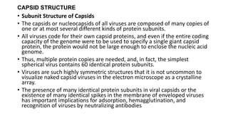 CAPSID STRUCTURE
• Subunit Structure of Capsids
• The capsids or nucleocapsids of all viruses are composed of many copies of
one or at most several different kinds of protein subunits.
• All viruses code for their own capsid proteins, and even if the entire coding
capacity of the genome were to be used to specify a single giant capsid
protein, the protein would not be large enough to enclose the nucleic acid
genome.
• Thus, multiple protein copies are needed, and, in fact, the simplest
spherical virus contains 60 identical protein subunits.
• Viruses are such highly symmetric structures that it is not uncommon to
visualize naked capsid viruses in the electron microscope as a crystalline
array.
• The presence of many identical protein subunits in viral capsids or the
existence of many identical spikes in the membrane of enveloped viruses
has important implications for adsorption, hemagglutination, and
recognition of viruses by neutralizing antibodies
 