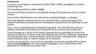 Introduction
A virus is a set of genes, composed of either DNA or RNA, packaged in a protein
containing coat.
The resulting particle is called a virion.
Viruses that infect humans are considered along with the general class of animal
viruses
Viruses that infect bacteria are referred to as bacteriophages, or phages.
Virus reproduction requires that a virus particle infect a cell and program the
cellular machinery to synthesize the constituents required for the assembly of new
virions.
Thus, a virus is considered an intracellular parasite. The infected host cell may
produce hundreds to hundreds of thousands of new virions and usually dies.
Tissue damage as a result of cell death accounts for the pathology of many viral
diseases in humans. In some cases, the infected cells survive, resulting in persistent
virus production and a chronic infection that can remain asymptomatic, produce a
chronic disease state, or lead to relapse of an infection.
In some circumstances, a virus fails to reproduce itself and instead enters a latent
state (called lysogeny in the case of bacteriophages), from which there is the
potential for reactivation at a later time.
 