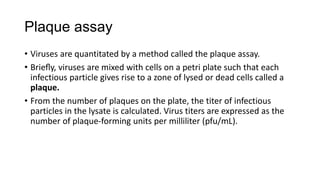 Plaque assay
• Viruses are quantitated by a method called the plaque assay.
• Brieﬂy, viruses are mixed with cells on a petri plate such that each
infectious particle gives rise to a zone of lysed or dead cells called a
plaque.
• From the number of plaques on the plate, the titer of infectious
particles in the lysate is calculated. Virus titers are expressed as the
number of plaque-forming units per milliliter (pfu/mL).
 