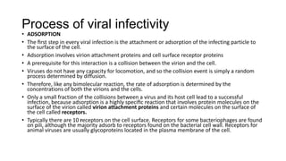 Process of viral infectivity
• ADSORPTION
• The ﬁrst step in every viral infection is the attachment or adsorption of the infecting particle to
the surface of the cell.
• Adsorption involves virion attachment proteins and cell surface receptor proteins
• A prerequisite for this interaction is a collision between the virion and the cell.
• Viruses do not have any capacity for locomotion, and so the collision event is simply a random
process determined by diffusion.
• Therefore, like any bimolecular reaction, the rate of adsorption is determined by the
concentrations of both the virions and the cells.
• Only a small fraction of the collisions between a virus and its host cell lead to a successful
infection, because adsorption is a highly speciﬁc reaction that involves protein molecules on the
surface of the virion called virion attachment proteins and certain molecules on the surface of
the cell called receptors.
• Typically there are 10 receptors on the cell surface. Receptors for some bacteriophages are found
on pili, although the majority adsorb to receptors found on the bacterial cell wall. Receptors for
animal viruses are usually glycoproteins located in the plasma membrane of the cell.
 